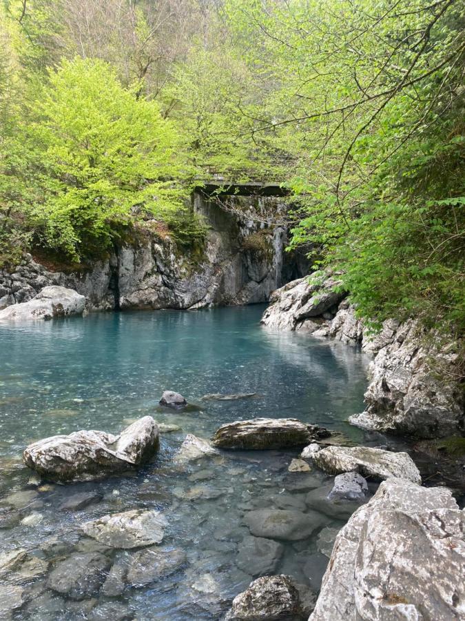 Appartement Rez-De-Chaussee, Cosy T3 4 A 6 Pers Avec Piscines Interieure & Exterieure A Samoens En Haute-Savoie Kültér fotó